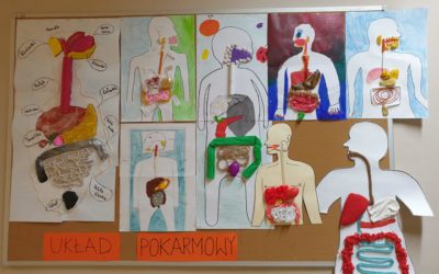 Układ pokarmowy bez tajemnic dla siódmoklasistów!