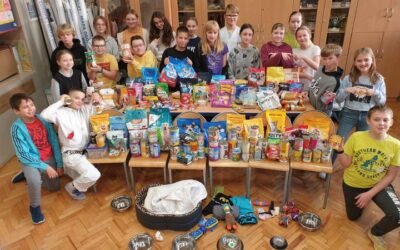 Podsumowanie zbiórki dla schroniska Azyl.