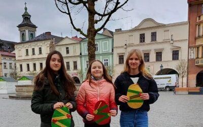 Akcja ozdabiania drzewek w centrum Cieszyna.